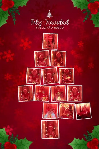 Videos de Erika Ramos (@erikaramos563) con “All I Want for Christmas - B.sound”