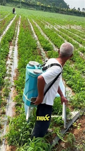 A Farmer's Safe Way to Spray Weed Killer