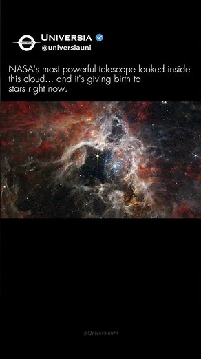 James Webb Discovers Hidden Stars Inside the Tarantula Nebula
