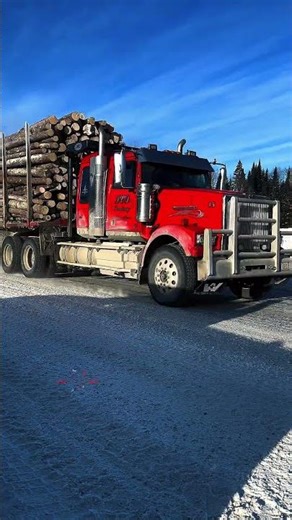POV: A typical log truck passing through the North Maine woods 🪵💪