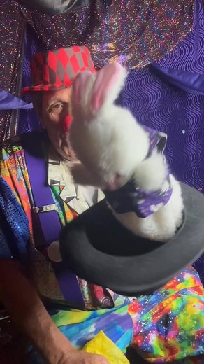 Rich The Magic Man:)🎂🎈❤️🎩🪄👍 Comedy Family Show & Magic Workshop SPECTACULAR 🎩🪄🎩🪄🎩🪄🎩 At Performing the Cobblestone Art Center 1622 Route 332 Farmington, NY 14425 Canandaigua November 29, 2025 1pm to 2:30pm OPEN TO THE PUBLIC Some Kid from the Audience will be LEVITATED Get Your Tickets at www.RichTheMagicMan.FUN TODAY:)!! $20 Per Ticket 2 & Under Free Direct Link to buy tickets: Direct LInk: https://checkout.square.site/merchant/MLN4626TJVZ5A/checkout/WGU7C7TNDP5DONWNDRE7TXU7?src=webq