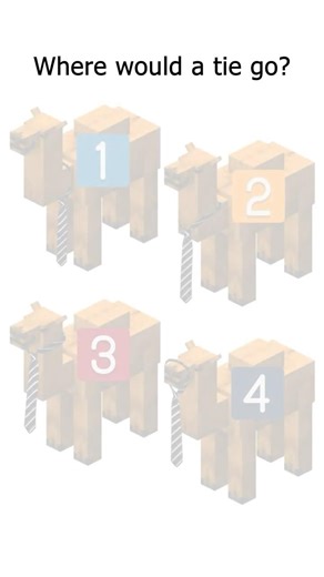 Where should I put the tie???