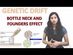 Genetic Drift I Bottle Neck Effect I Founders Effect I Natural Selection I NEET I CSIRNET I IITJAM
