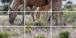 Using the Rule of Thirds to Take Better Landscape Photos