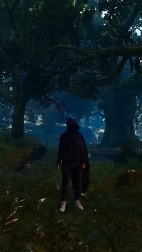 Witcher 3 Be like pt.1