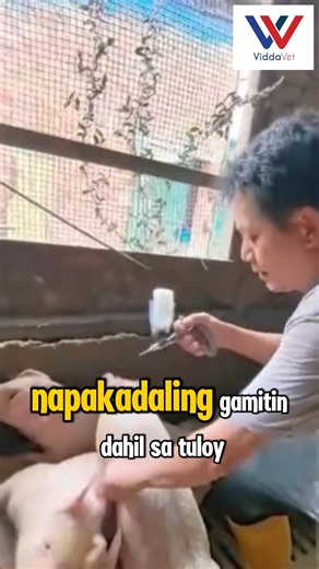 3 in 1 Continuous Syringe Bundle Toolkit❗❗🐷 with: ✅ Automatic Continuous Syringe 🐷 ✅ 10 pcs Assorted Needles 🐷 ✅ Crayon Marker 🐷 Mas pinasulit at pinamurang 🐷3 in 1 bundle!, dito lang mabibili. Kaya order na sa Viddavet! 😊 Mag message lang para sa mga gustong mag order at may mga inquiries! | Viddavet Ph