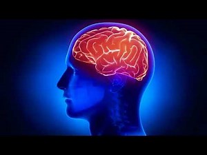 Human brain | 3d structure and function | Anatomy of the brain| 4k video (ultra HD) 2020.