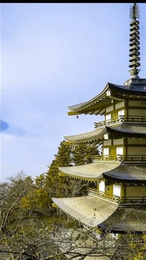 Japan in Autumn 🍁: Chureito Pagoda | Protanopia Simulation | Color Vision Physiology