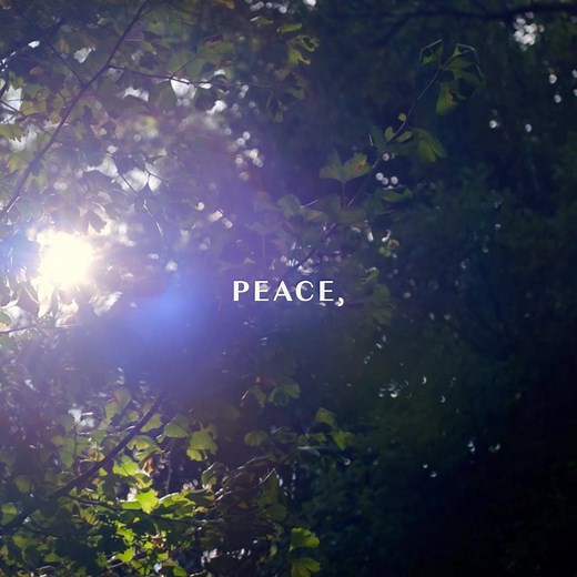 19K views · 1.6K reactions | PERFECT DAYS "is a gently astonishing film about finding joy in everyday life." Wim Wenders' Academy Award-nominated film is playing in theaters. Get tickets now: bit.ly/PerfectTkts | NEON | Facebook