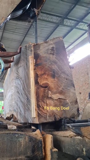 6.7K views · 61 reactions | The curved shape is great for table tops and so is the spirit of this wood saw #trendingvidio #viralvidio #populer #instream #fbpro #woodworking #sawmill #cutting #skills #amazing #antiquefurniture #world #american #brazil | Bang Doel | Facebook