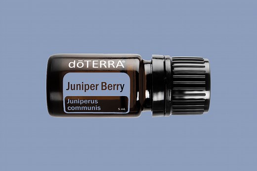 Juniper Berry Essential Oil | doTERRA Essential Oils
