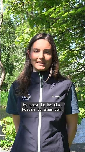 Irish Phrases You Need for Your Trip #irish #gaelic