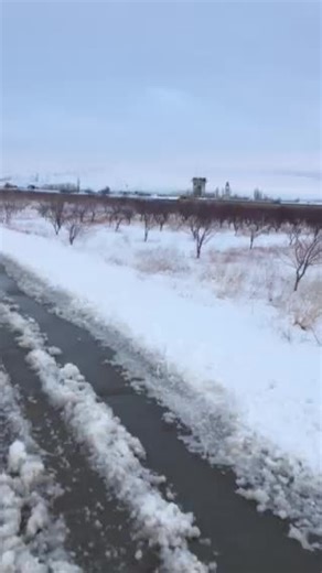 Unity for Afghan Allies: A Call to Action in 2021