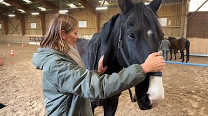 "Il faut mettre le pied là où le cheval mettra le sabot": l'équicoaching ou l'apprentissage du management avec un cheval