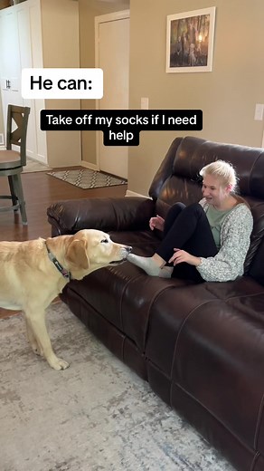 Is Your Dog Smart? Angie and Ruby Showcase Impressive Skills!