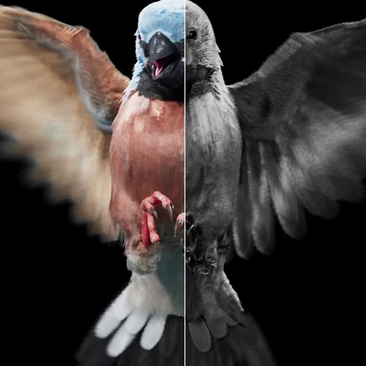 CGMeetup on Instagram: "Allianz Care You Can Count On - VFX Breakdown by Alt.vfx https://cgmeetup.com/news/allianz-care-you-can-count-on-vfx-breakdown-by-altvfx-1081 #vfx #vfxbreakdown"