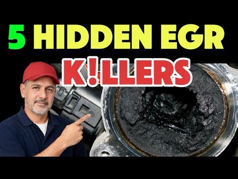 5 Mistakes Killing Your EGR System (Diesel Owners Ignore #3!)