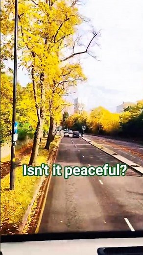 Just me and the rhythm of the road from the bus window 🚌🌲#travel#nature#busride #shorts#viralvideo