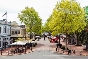 Nelson City Guide - Uniquely Nelson