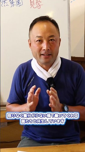大豆の無肥料栽培のコツは？ #野菜栽培 #家庭菜園