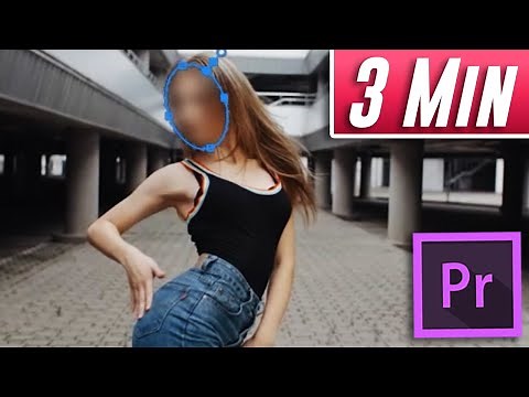 Premiere Pro : How to Blur Moving Objects (Fast Tutorial)