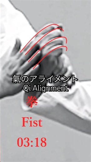 WOW!合氣 | 拳に小手返し : Qi Alignment | 氣のアライメント KoteGaeshi to Fist #合気道 #aikido #martialarts #selfdefense