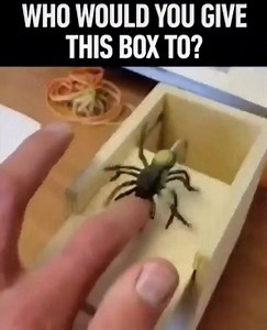 13K views · 50 reactions | Seriously, who would you give this to? Find it here! ➡️ https://amzn.to/2raeaTj . We may earn a small commission from the above link at no cost to you | SHTF Dad | Facebook