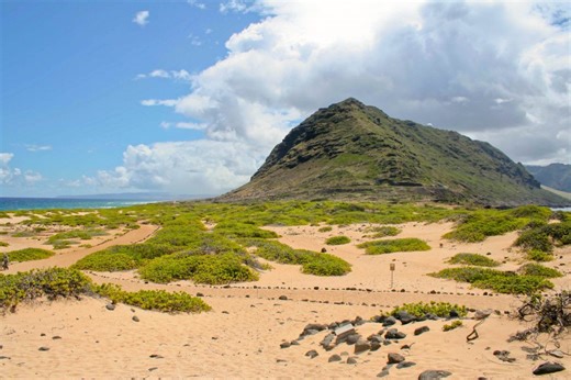 Case to talk about designating Ka’ena Point as a National Heritage area | Maui Now