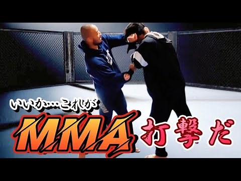 Explaining striking in MMA