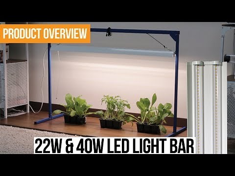 Best LED Grow Light Bar and Stand For Clones, Germination, and Micro-greens 2019
