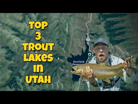 Best Trout Fishing Lakes In Utah Top 3 Spots you Need to Fish!