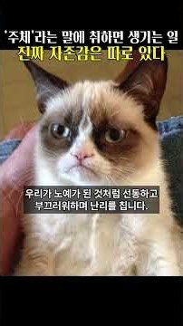 진보의 민족주체성과 페미의 처녀성떼기 성적 주체성증명