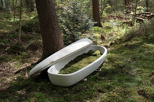 Loop Biotech invente le « cercueil en champignons » biodégradable en 45 jours