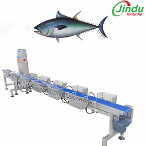[Hot Item] Fish Sorting Machine Sort by Weight High Speed
