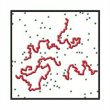 Polymer reptation (Lammps simulation)
