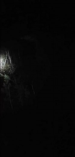 Wendigo Scream Caught on Tape
