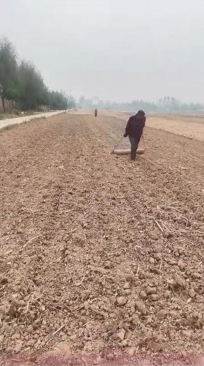 Wisdom of Traditional Tools: How does pulling a roller efficiently level fields?