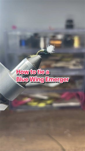 How to tie a Blue Wing Emerger #Flyfishing #Flytying #Fly #Flypatterns #Fishing