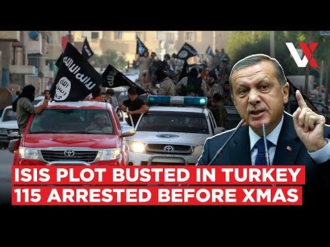 Christmas Bloodbath Averted? Turkey Raids 124 Sites As ISIS Plotters Rounded Up | VERTEX
