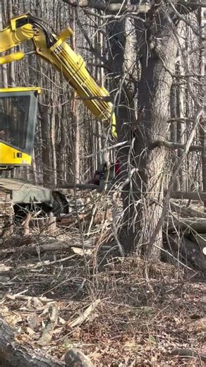 For Sale!!! 2012 Logmax 7000XT Fixed Processing Head Stock# A3548