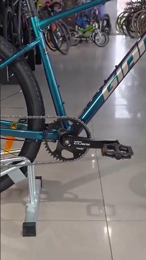 Rower crossowy Giant Roam 0 2024
