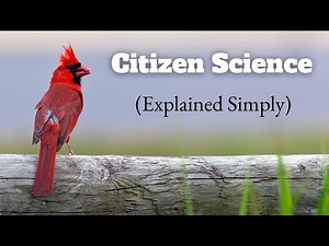 What is Citizen Science? Everything You Need to Know 🦜