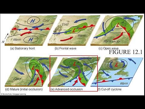 Polar Front Theory