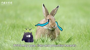 [# What are the hazards of PFOS? #] In 2023, PFOS was classified as a possible carcinogen. What exactly are the hazards of this "little monster" PFOS? What adverse effects might it have on our health and environmental safety? Watch episode 2 of the four-episode popular science animation videos to continue the journey of overcoming difficulties and upgrading! | China News 中国新闻网