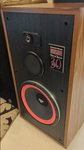 Cerwin Vega RE-30 #marantz #vinyl #kenwood #yamaha #pioneer #speakers #vintagespeakers #yamaha