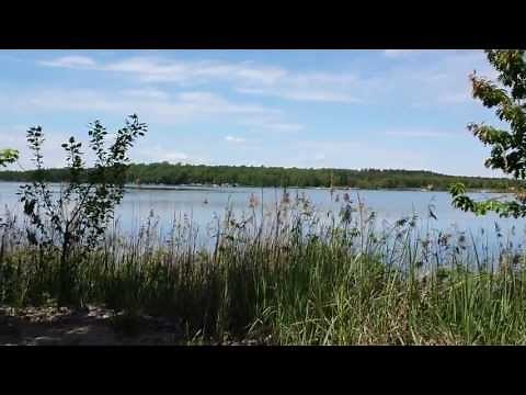 Bergwitzsee FKK Strand