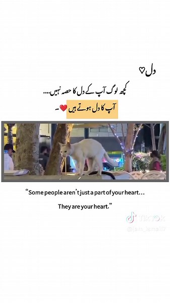 Explore Heartfelt Inspiration Through Poetry