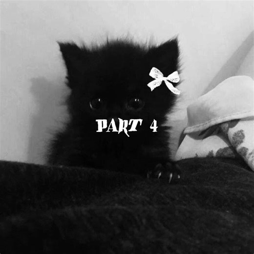 warrior cats mep call! (open) READ DESCRIPTION.