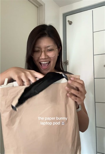 Unboxing My New Paper Bunny Laptop Case