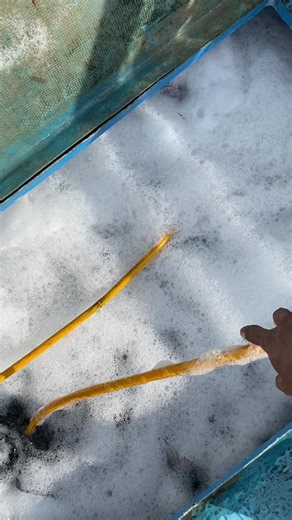 Paimaham Group: Inovasi Baru di CV Karya Tirta Mandiri